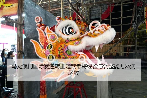 ma-long-ao-men-guo-ji-sai-ni-zhuan-wang-chu-qin-lao-jiang-jing-yan-yu-tiao-zheng-neng-li-lin-li-jin-zhi-2-386.jpg