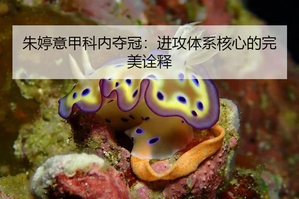 朱婷意甲科内夺冠：进攻体系核心的完美诠释