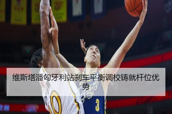 wei-si-ta-pan-xiong-ya-li-zhan-sha-che-ping-heng-diao-xiao-zhu-jiu-gan-wei-you-shi-2-462.jpg