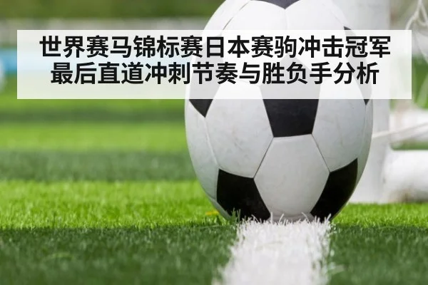 世界赛马锦标赛日本赛驹冲击冠军最后直道冲刺节奏与胜负手分析